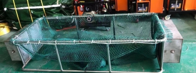 碳九对人体有什么影响？